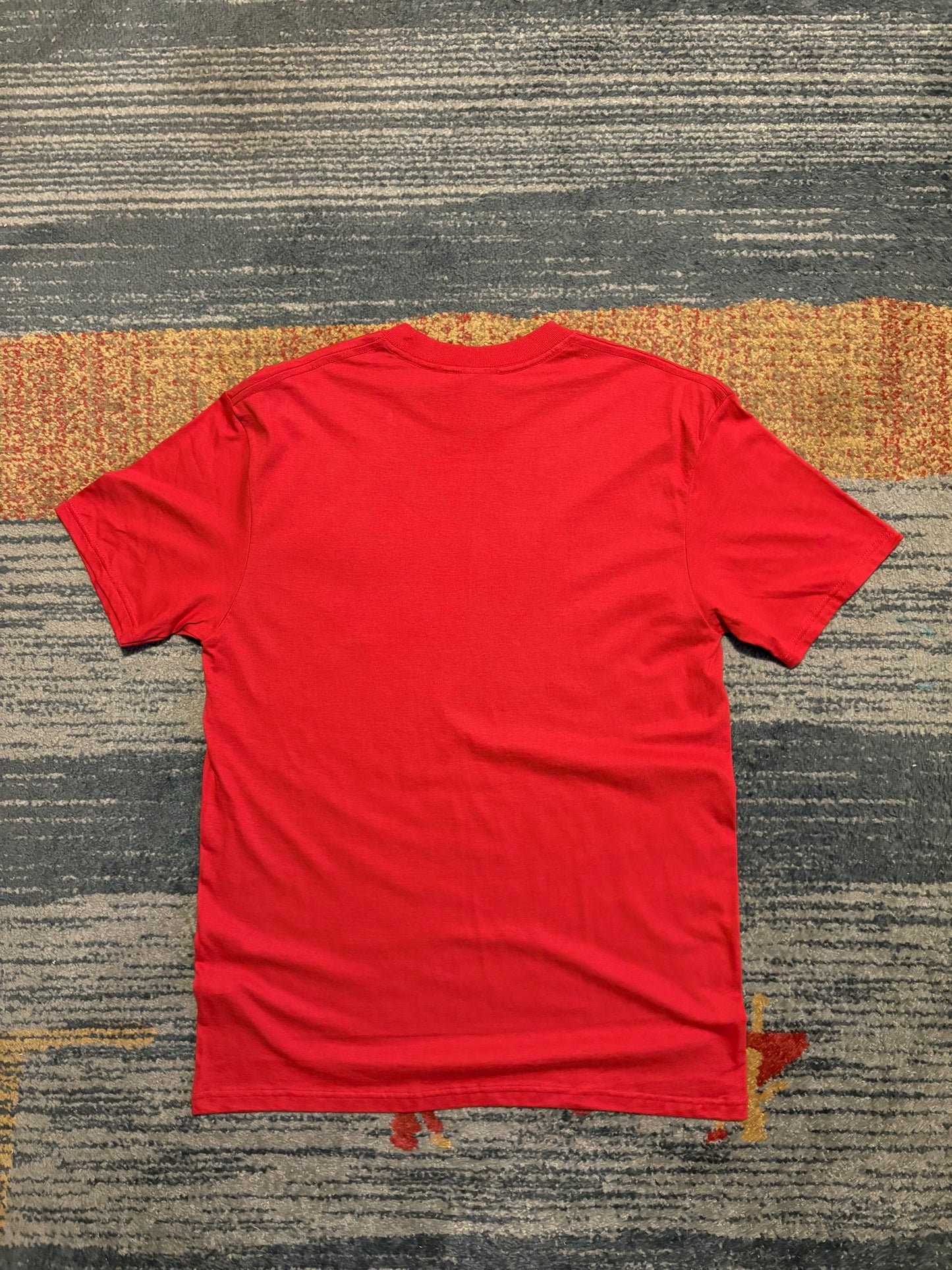 2011 Harley Davidson Tee