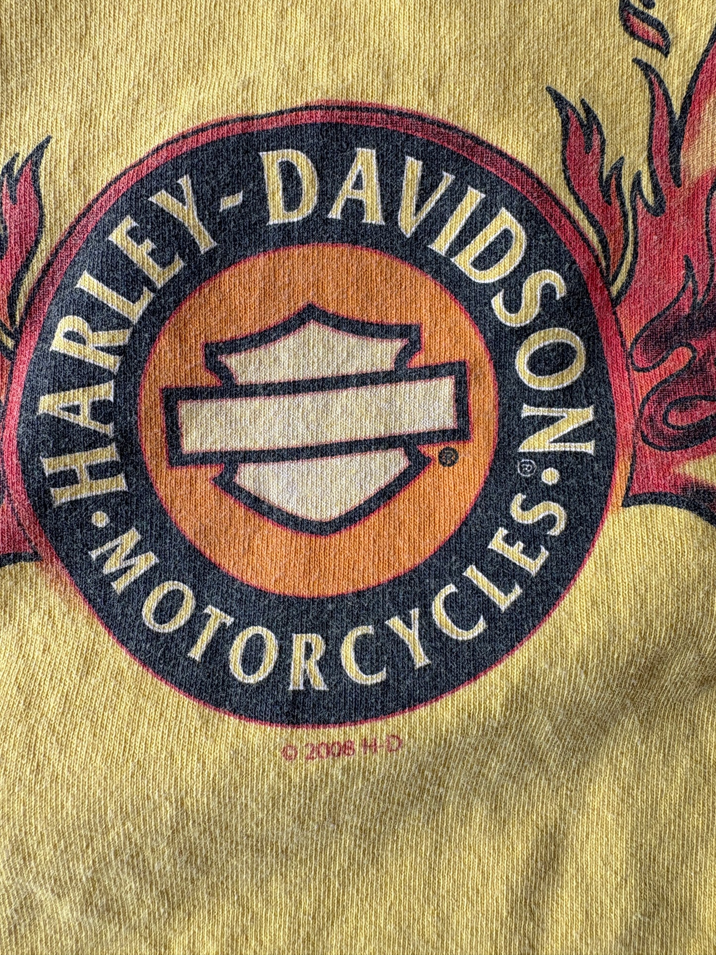 2008 Harley Davidson Cut Off