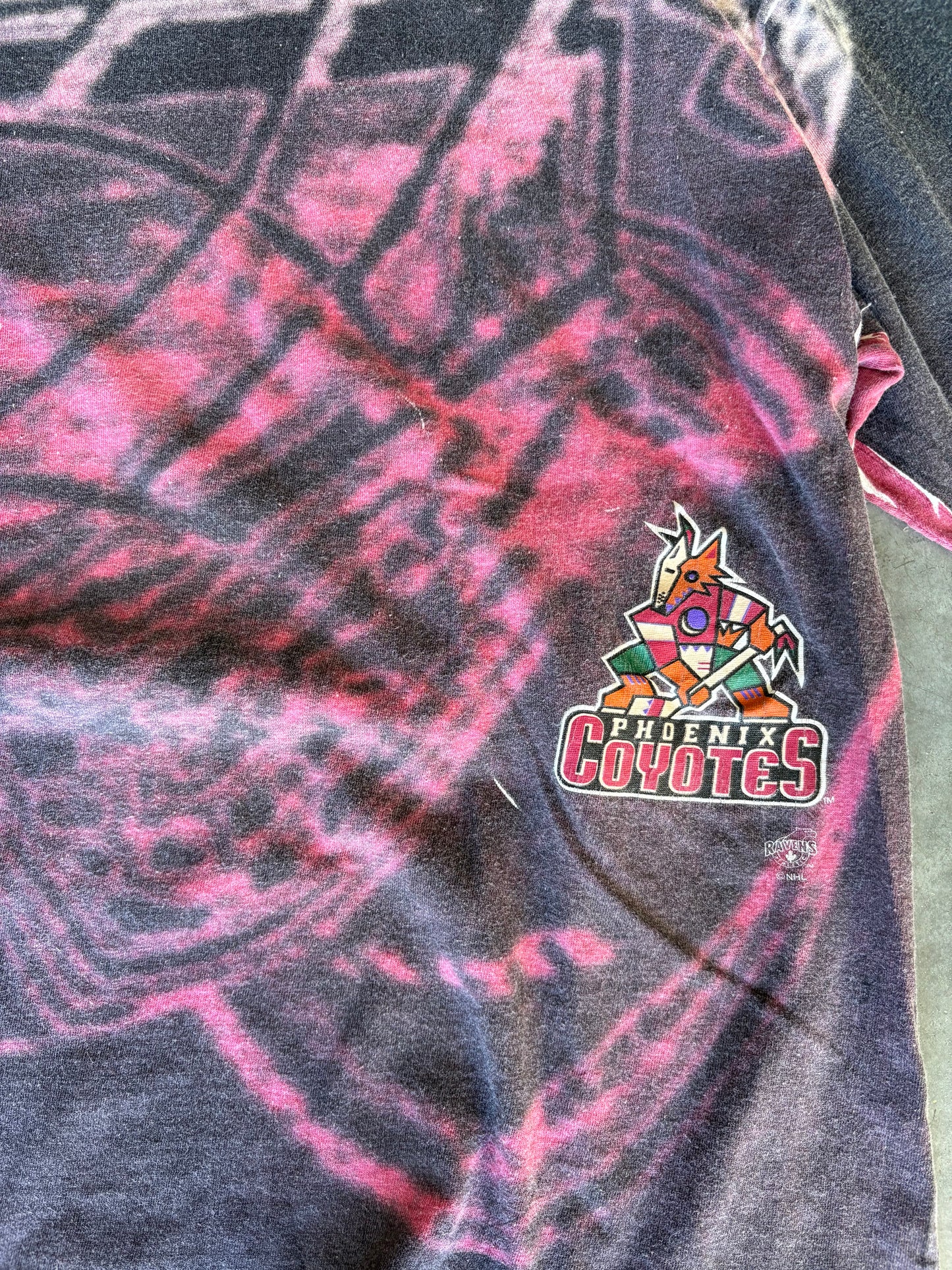 90s Phoenix Coyotes AOP