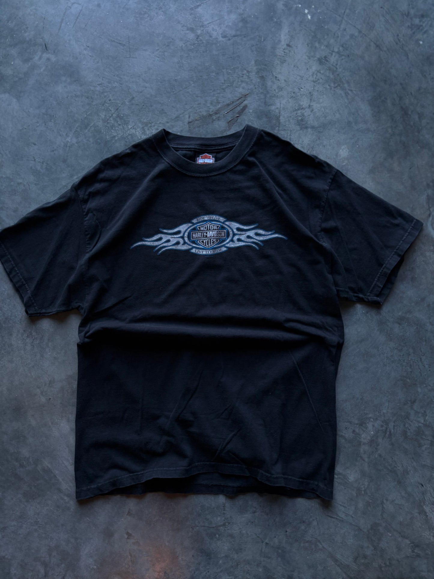 Harley Davidson Blue Flames