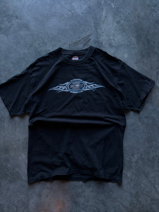 Harley Davidson Blue Flames