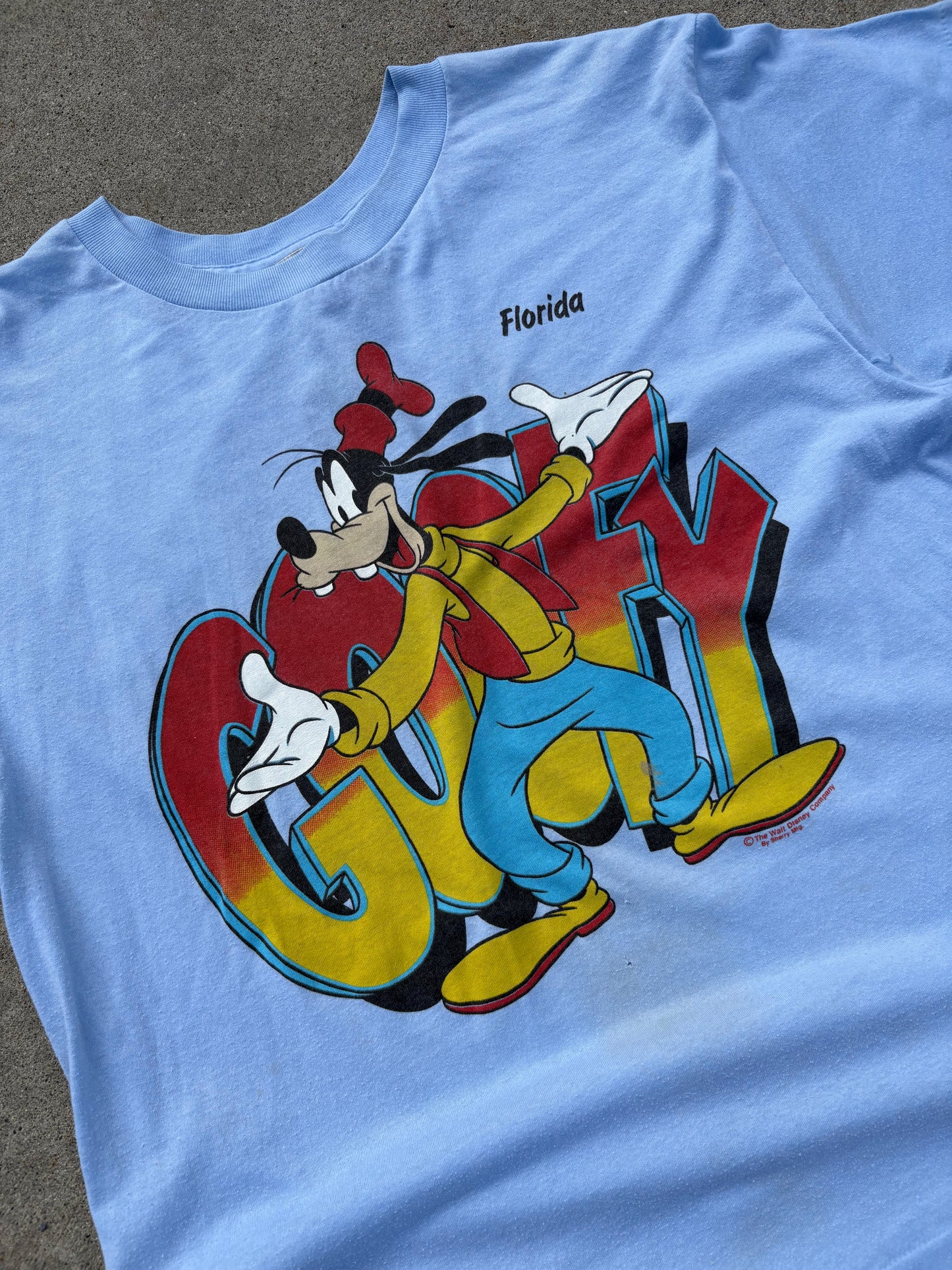 Vintage Florida Goofy Tee