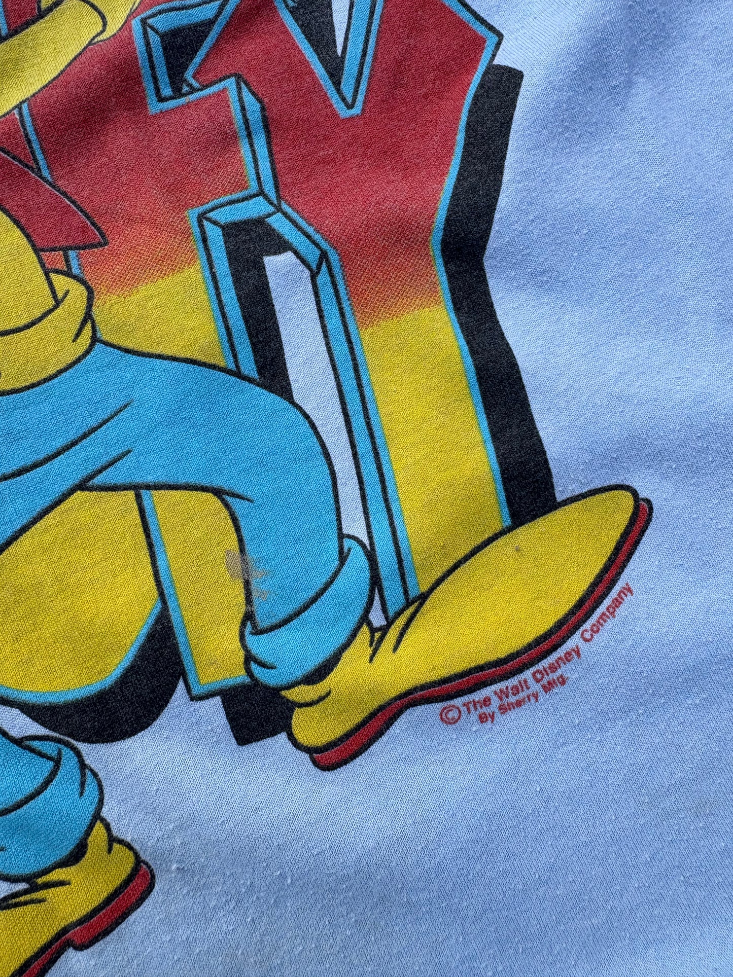 Vintage Florida Goofy Tee